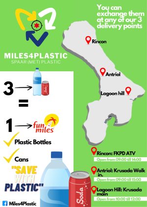 Flyer Miles 4 Plastic-1